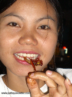 Thailand food -Insects